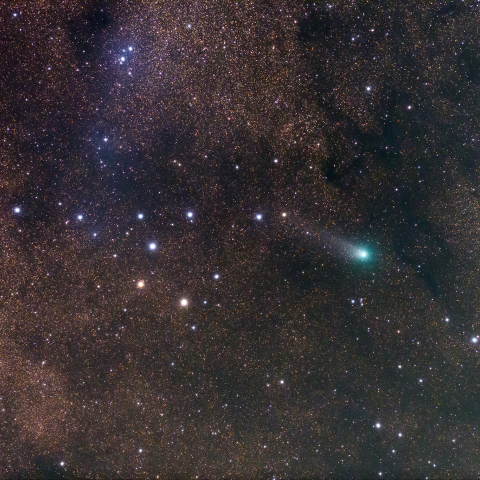 コートハンガーに引っかかったジャック