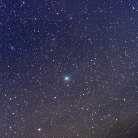 ラブジョイ彗星(C/2014Q2) 11/30