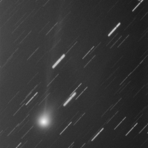 マックノート彗星(C/2009R1） 6月1日未明