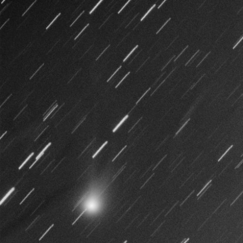 マックノート彗星(C/2009R1)　6月2日未明