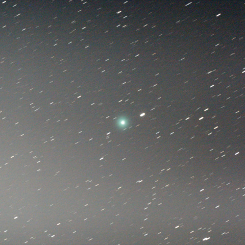 C/2010 V1 池谷・村上彗星 11月5日