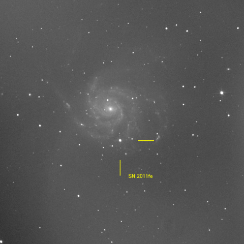SN2011fe in M101　9月12日
