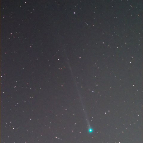 テイルを伸ばす本田・ムルコス・パジュサコバ彗星