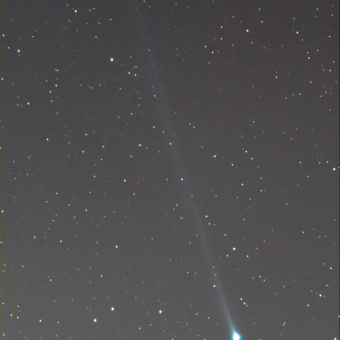 近日点の45P/本田・ムルコス・パジュサコバ彗星（その１）