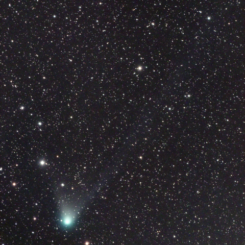 ギャラッド彗星(C/2009P1) 11月17日