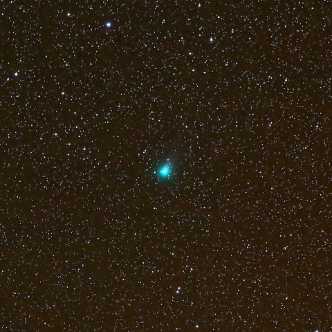 ラブジョイ彗星