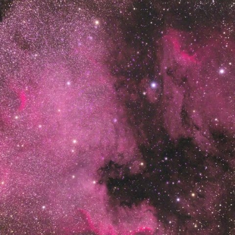 北アメリカ星雲中心部