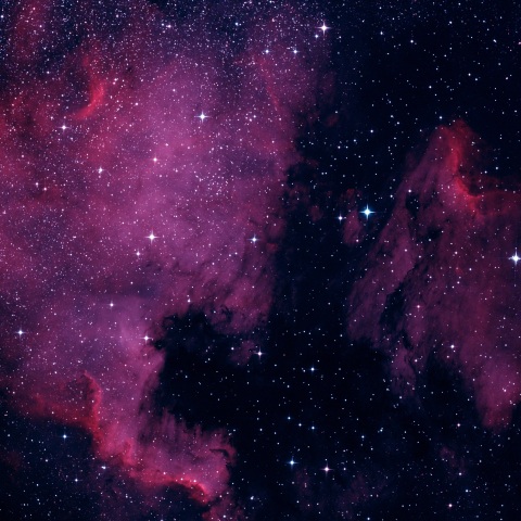 NGC7000 北アメリカ星雲