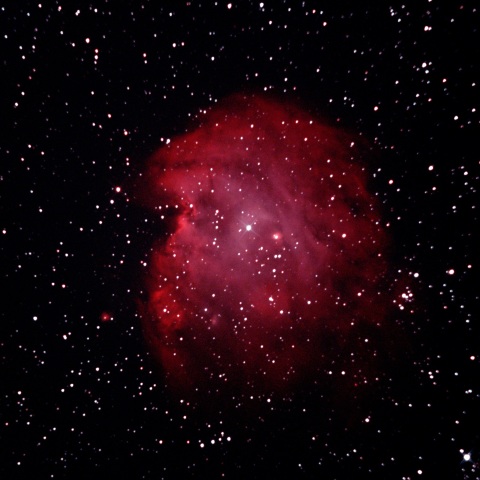NGC2174 大きなモンキーの横顔