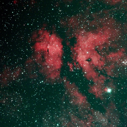 サドル付近散光星雲.