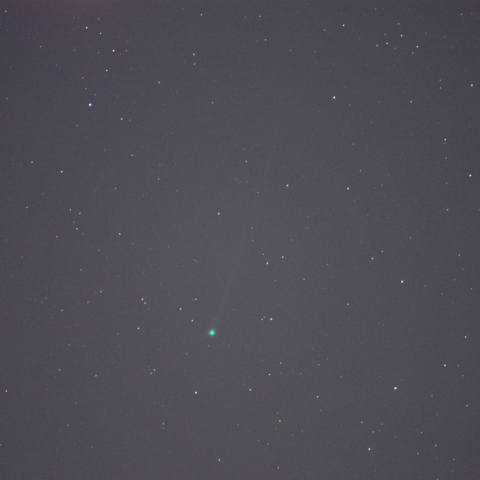 本田・ムルコス・パイドゥシャーコヴァー彗星