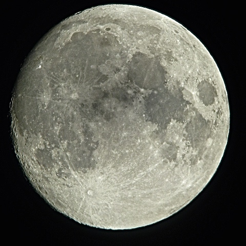 今年二度目の十三夜のお月見