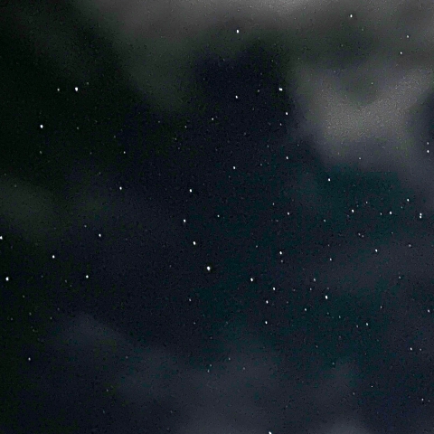 かんむり座　T星