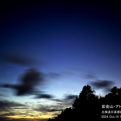 紫金山・アトラス彗星  2024-10-14