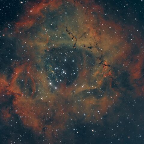 NGC2237-9,2246　いっかくじゅう座　ばら星雲