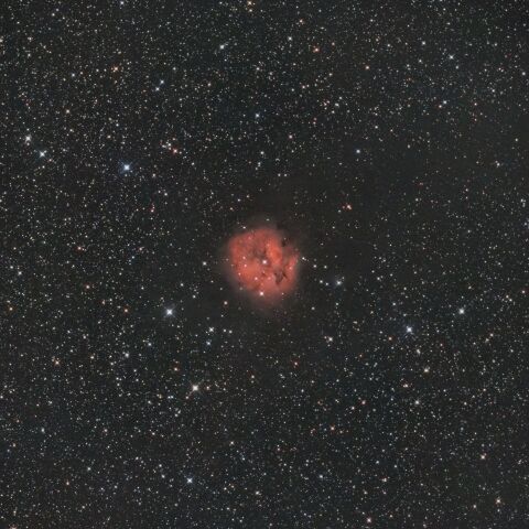 IC5146　はくちょう座　まゆ星雲