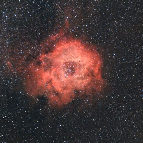 NGC2237-9,2246　いっかくじゅう座　ばら星雲
