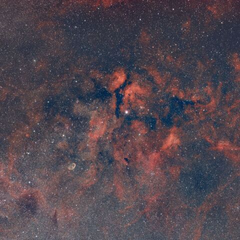 はくちょう座に広がる散光星雲と暗黒星雲