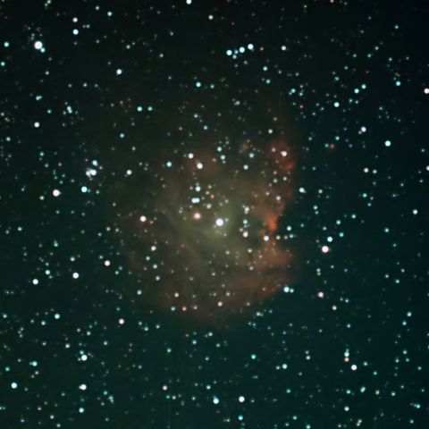 オリオン座 モンキー星雲