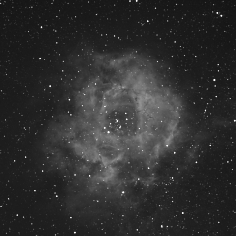 いっかくじゅう座 ばら星雲