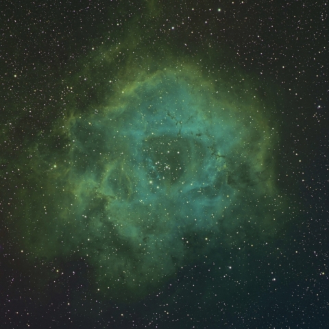 いっかくじゅう座 ばら星雲