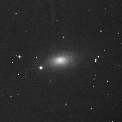 りょうけん座 ひまわり銀河