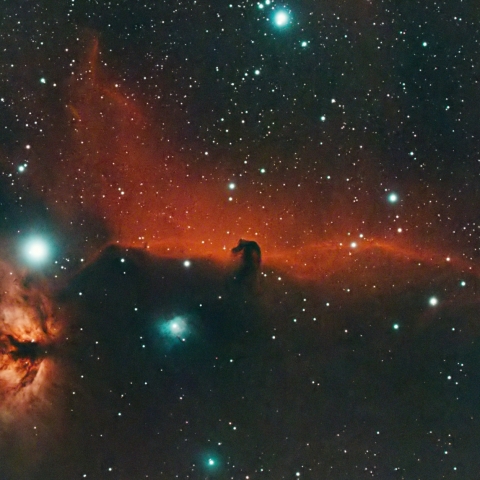 オリオン座 馬頭星雲