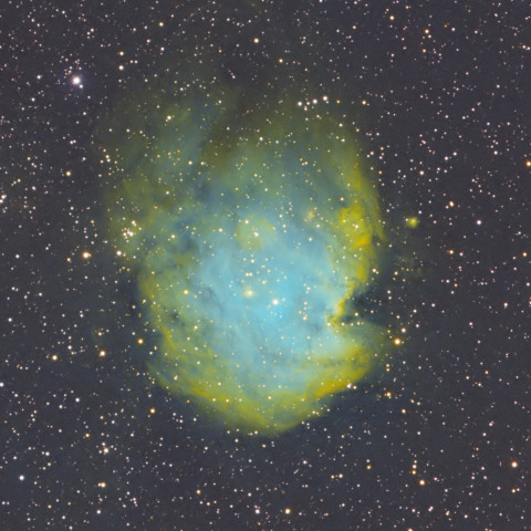 オリオン座 モンキー星雲（SAO）