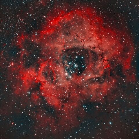 いっかくじゅう座 ばら星雲