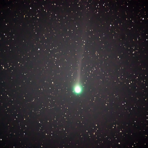 ラブジョイ彗星 2015-01-31