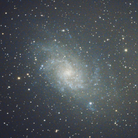 M33