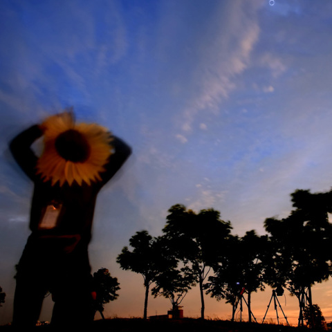 宙(ソラ)と地上のひまわり