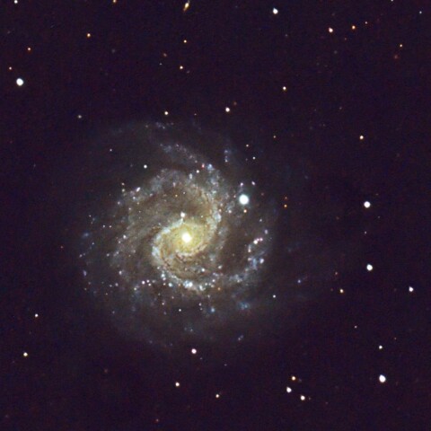 フェイスオン銀河NGC3184