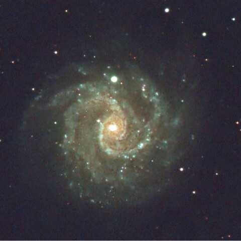 フェイスオン銀河NGC3184