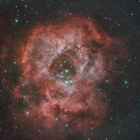 ばら星雲 NGC2237