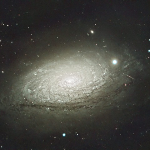 ひまわり銀河 M63