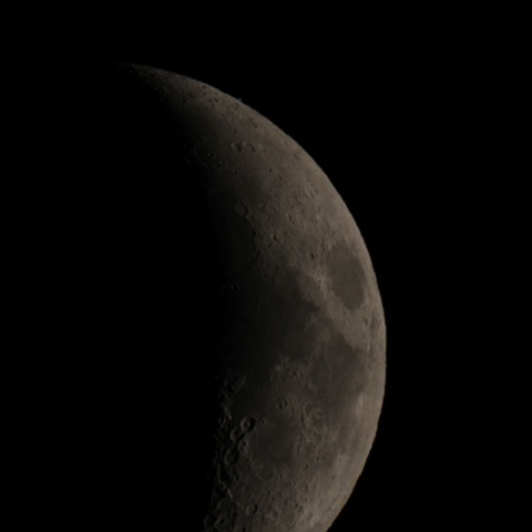 スピカ食 出現直後