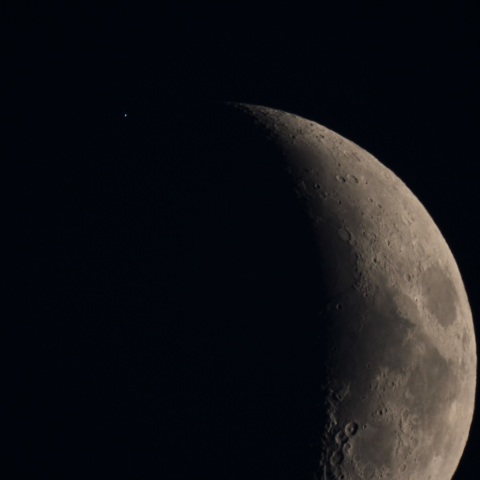 スピカ食　食われる瞬間