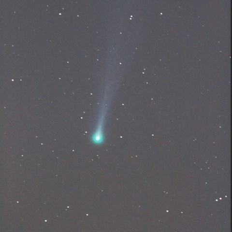 11/16のC/2012S1 アイソン彗星