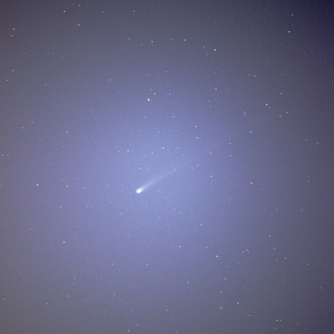 11/20のアイソン彗星