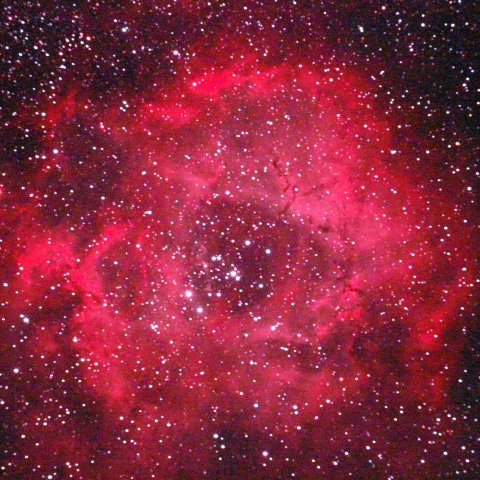 いっかくじゅう座バラ星雲(NGC2237)