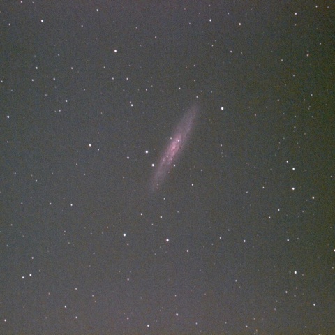 NGC253