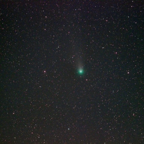 2/1のラブジョイ彗星