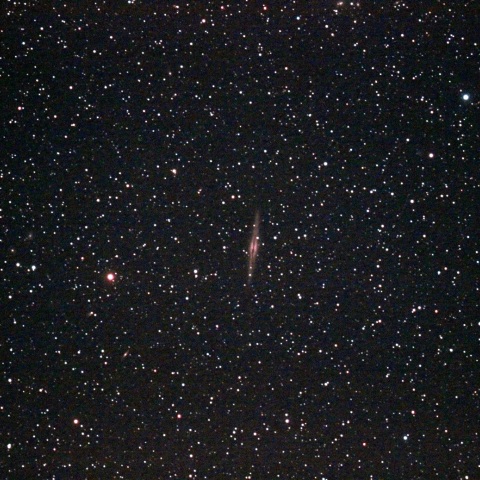 NGC951