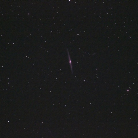 NGC4565
