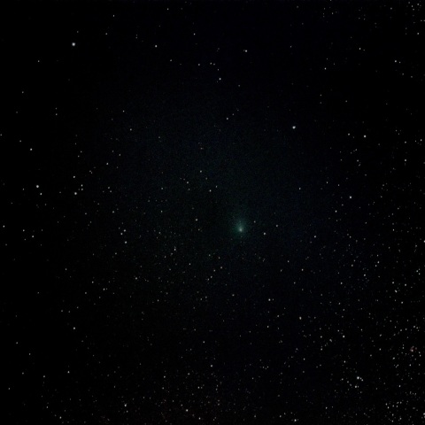 3/23のラブジョイ彗星