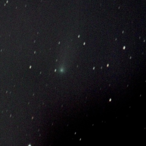 1/23の15P（フィンレー彗星）