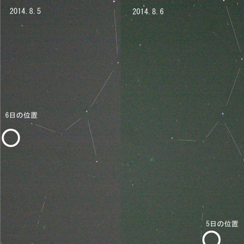 ジャック彗星の1日の移動距離
