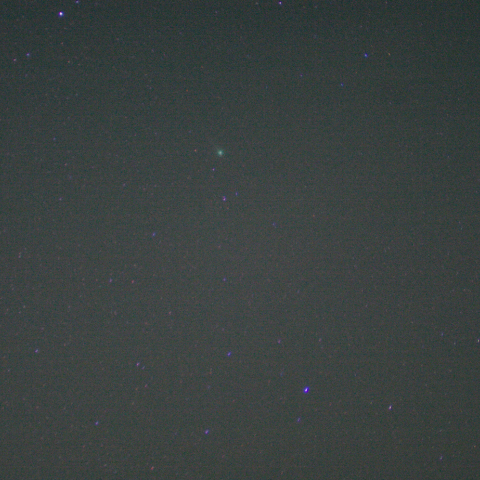 70mmでも尾が写りました