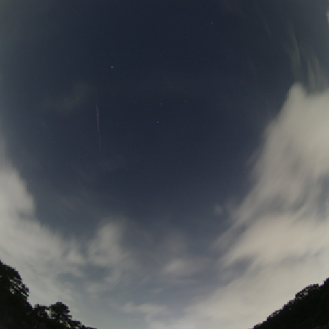 東京でのペルセウス座流星群